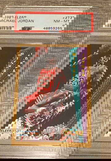 Michael Jordan 93-94 FLEER SLAM DUNK