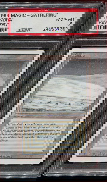 Magic the Gathering MTG Revised Tundra PSA 8 NM-MT