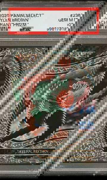 2020-21 Panini Select Jaylen Brown #236 Courtside Elephant Prizm SP PSA 10