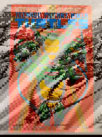 Teenage Mutant Ninja Turtles #24 (1989) | Mirage Studios | Early TMNT Issue | NM